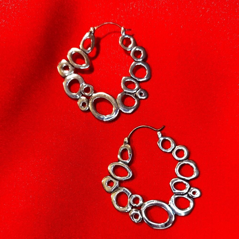 Hoops With Loops Earrings